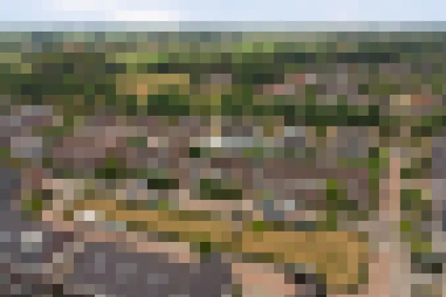 Boskriek 2 Alphen thumbnail 49