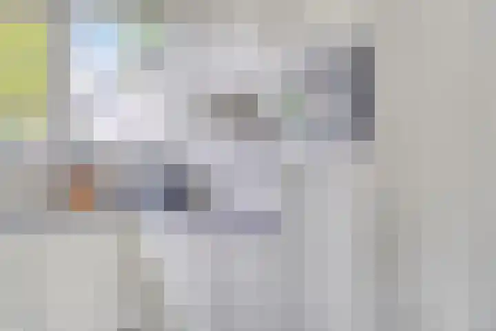 Boskriek 2 Alphen thumbnail 8