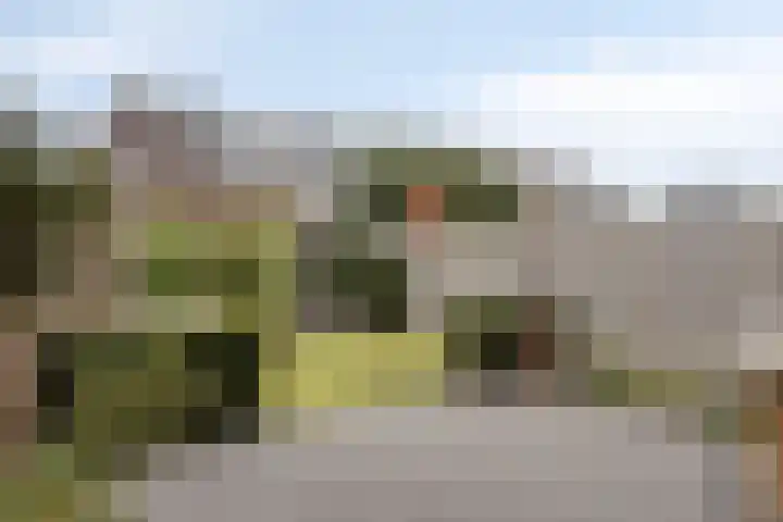 Boskriek 27 Alphen thumbnail 19