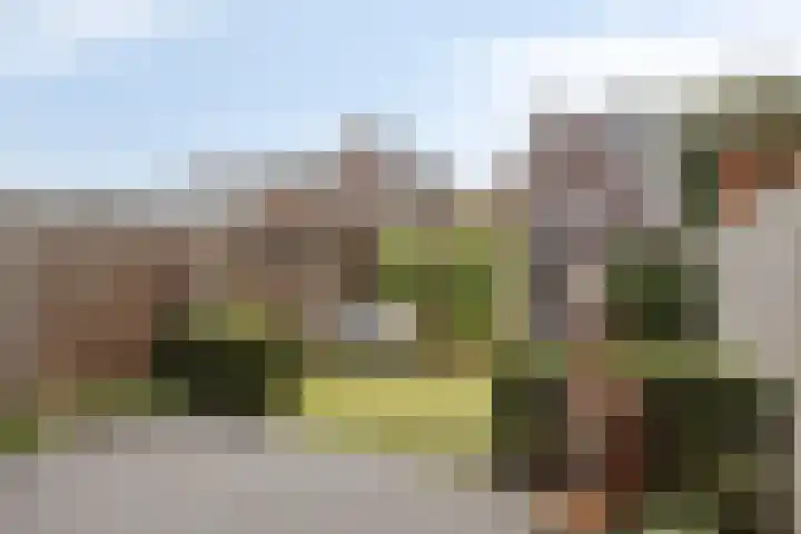 Boskriek 27 Alphen thumbnail 20