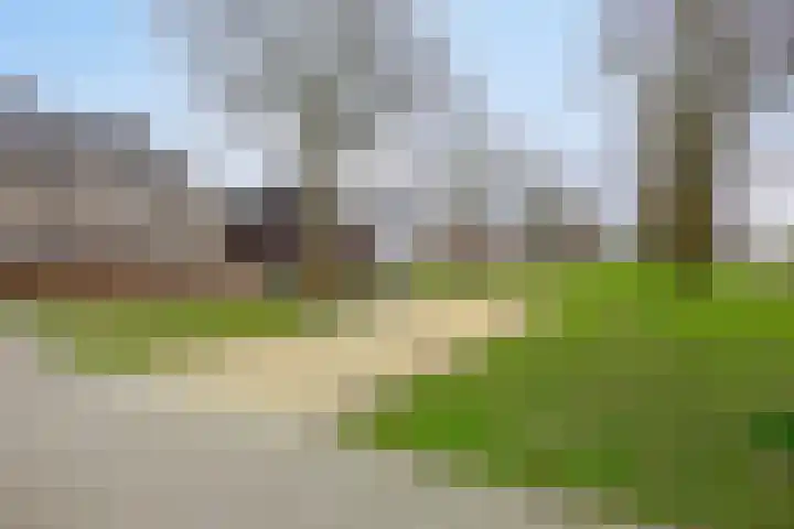 Boskriek 27 Alphen thumbnail 24