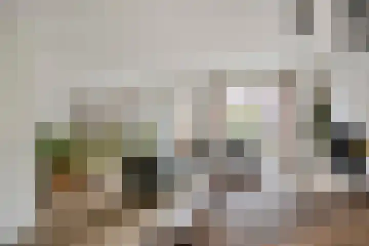 Boskriek 27 Alphen thumbnail 4