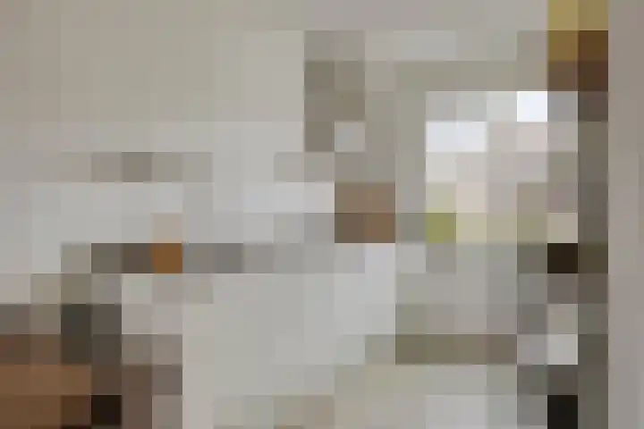 Boskriek 27 Alphen thumbnail 7