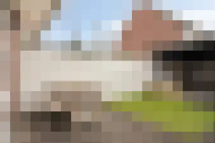 Boskriek 38 Uden thumbnail 34