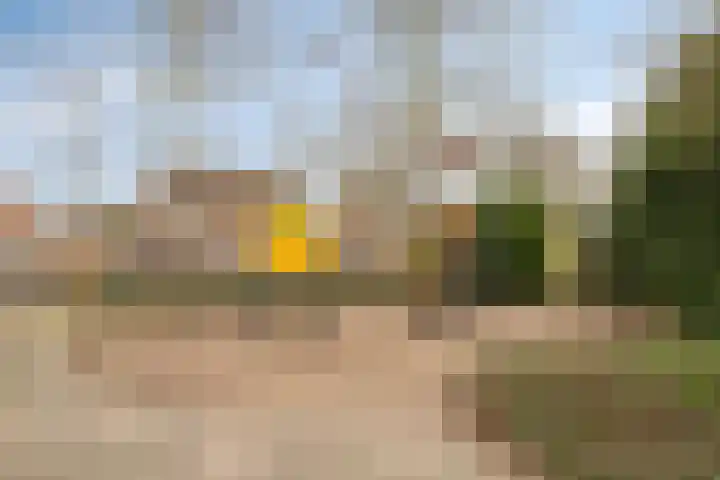 Boskriek 38 Uden thumbnail 39