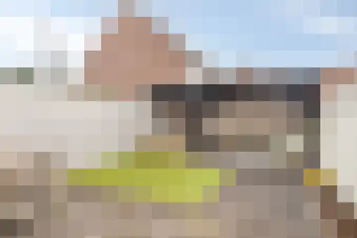 Boskriek 38 Uden thumbnail 4