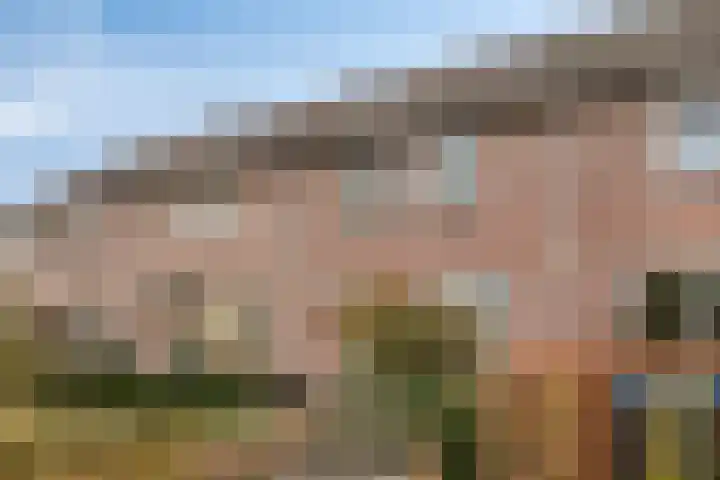Boskriek 38 Uden thumbnail 40