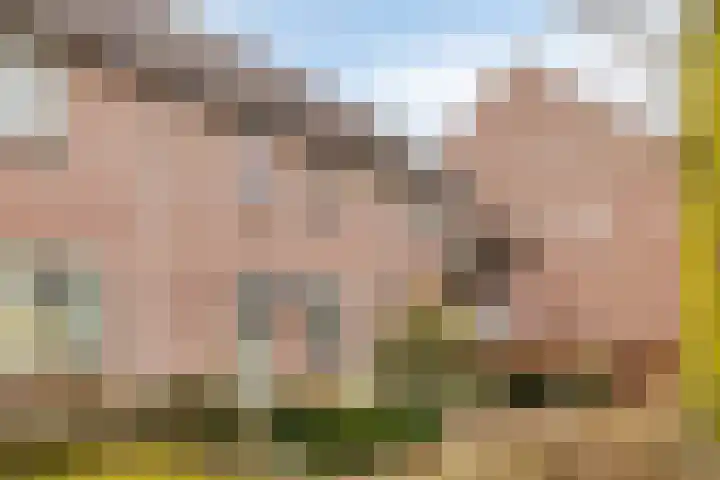 Boskriek 38 Uden thumbnail 42