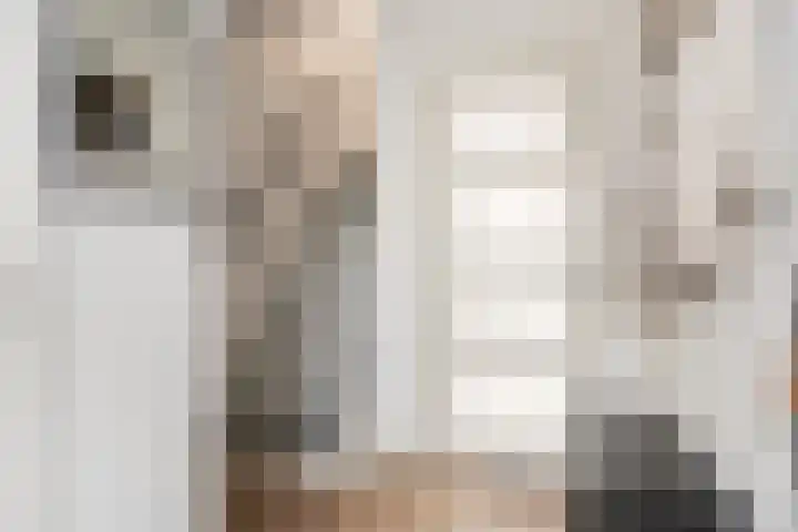 Boskriek 38 Uden thumbnail 7