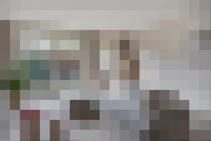 Boskriek 5 Alphen thumbnail 10