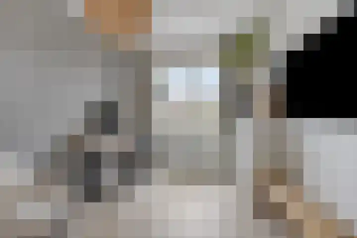 Boskriek 5 Alphen thumbnail 21
