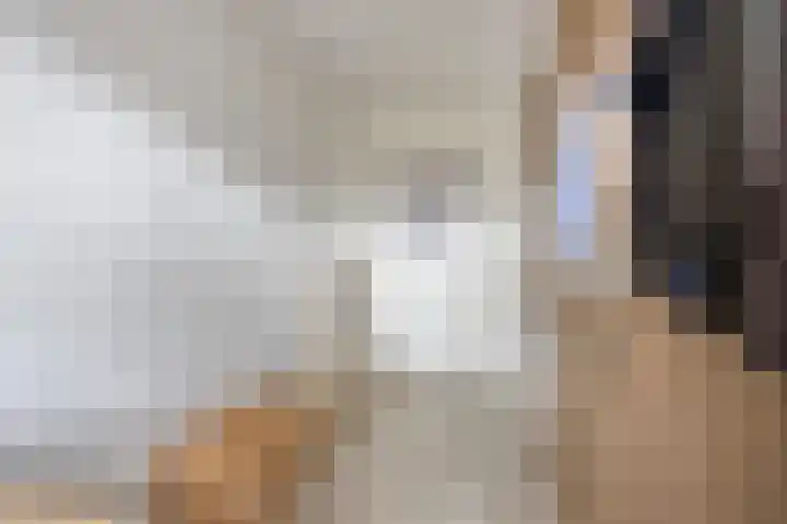 Boskriek 5 Alphen thumbnail 24