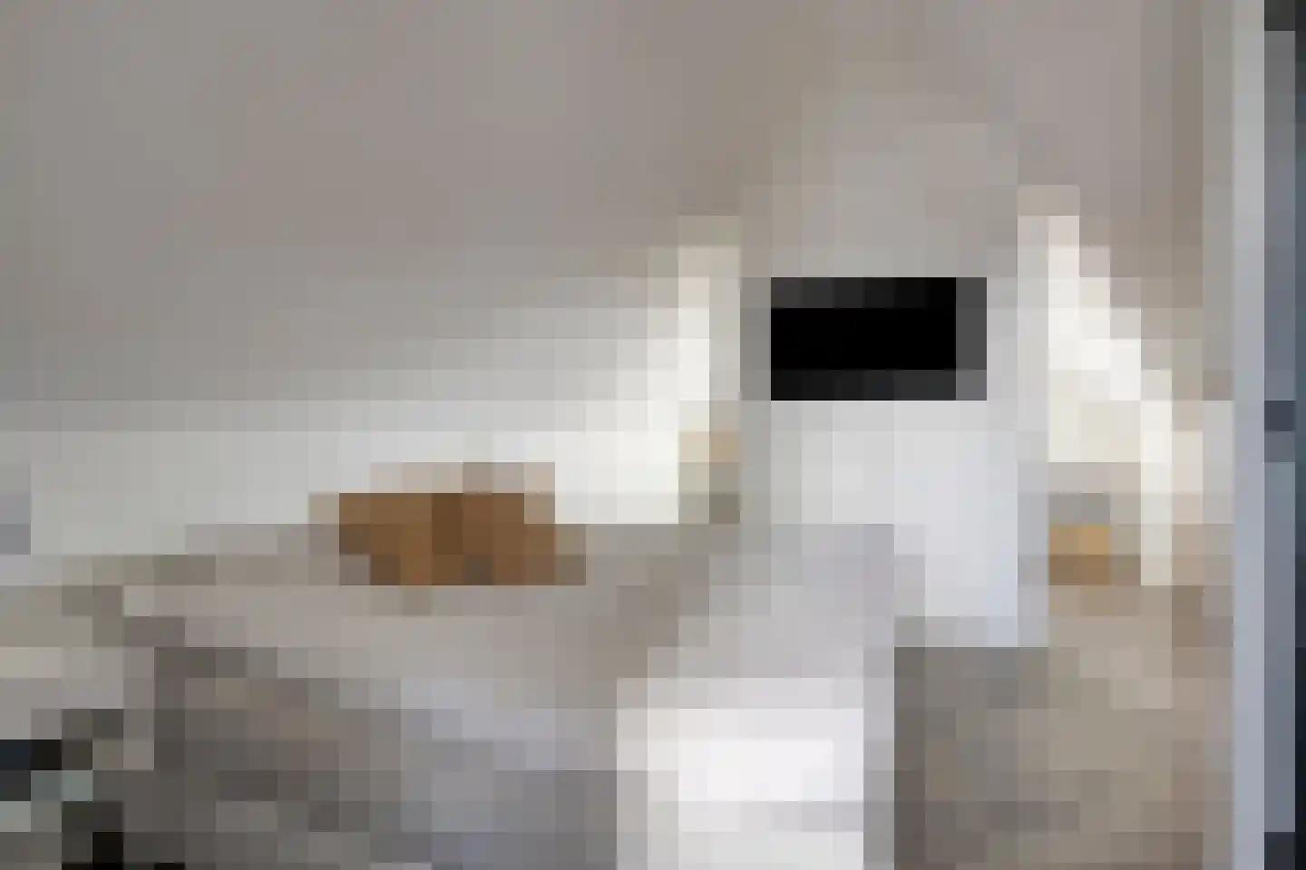 Boskriek 5 Alphen thumbnail 26