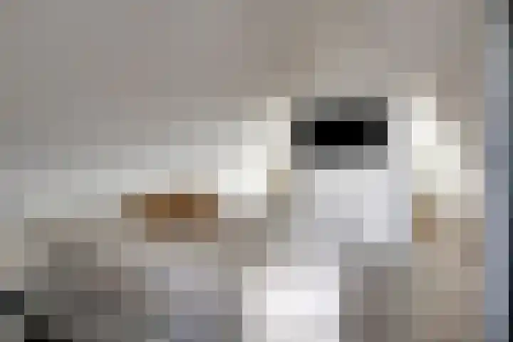 Boskriek 5 Alphen thumbnail 27