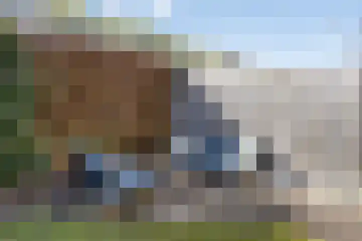 Boskriek 5 Alphen thumbnail 37