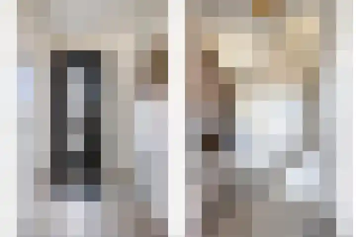 Boskriek 5 Alphen thumbnail 4