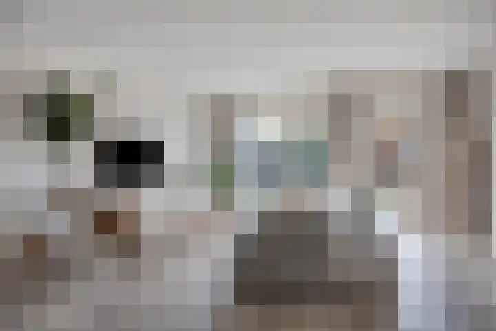 Boskriek 5 Alphen thumbnail 6