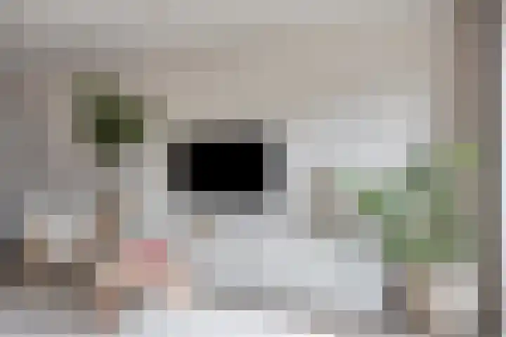 Boskriek 5 Alphen thumbnail 7
