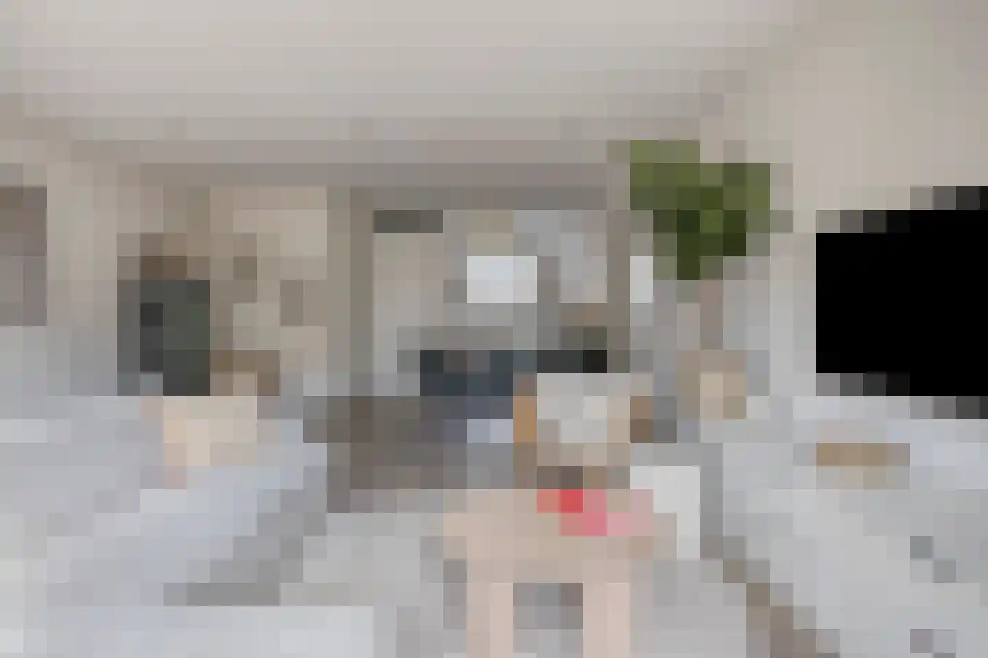 Boskriek 5 Alphen thumbnail 8
