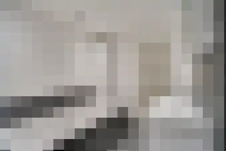 Boskriek 77 Uden thumbnail 12
