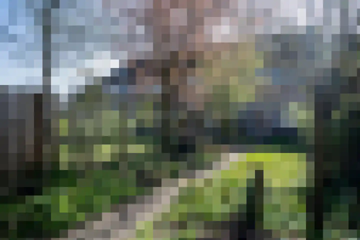 Boskriek 77 Uden thumbnail 23