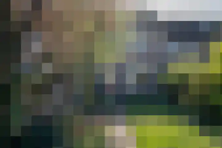 Boskriek 77 Uden thumbnail 24