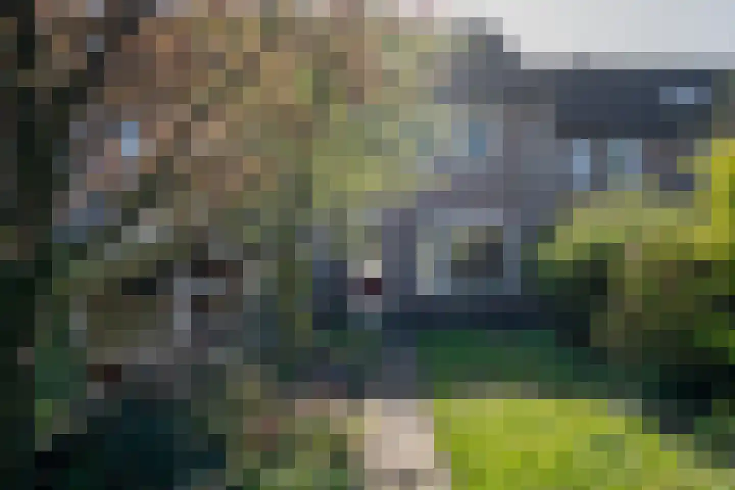 Boskriek 77 Uden thumbnail 24