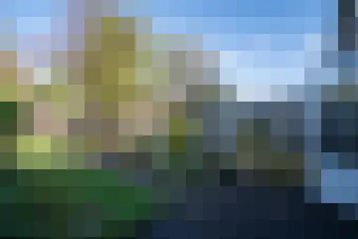 Boskriek 77 Uden thumbnail 25