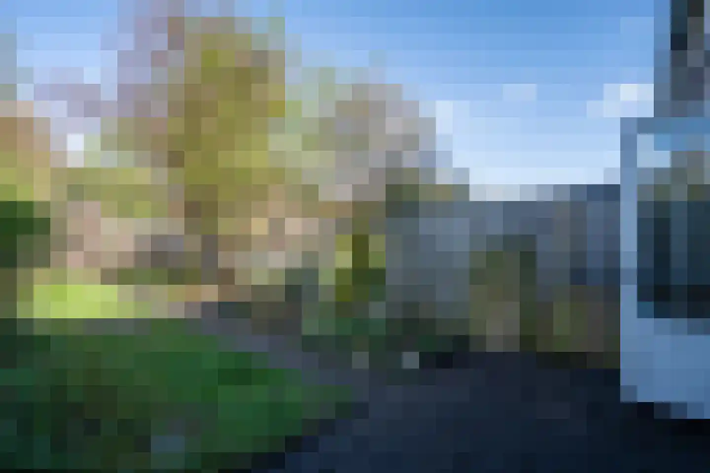 Boskriek 77 Uden thumbnail 25
