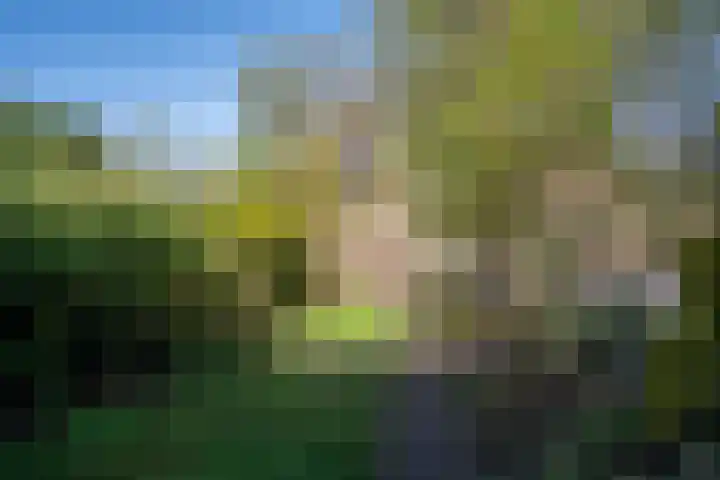 Boskriek 77 Uden thumbnail 26