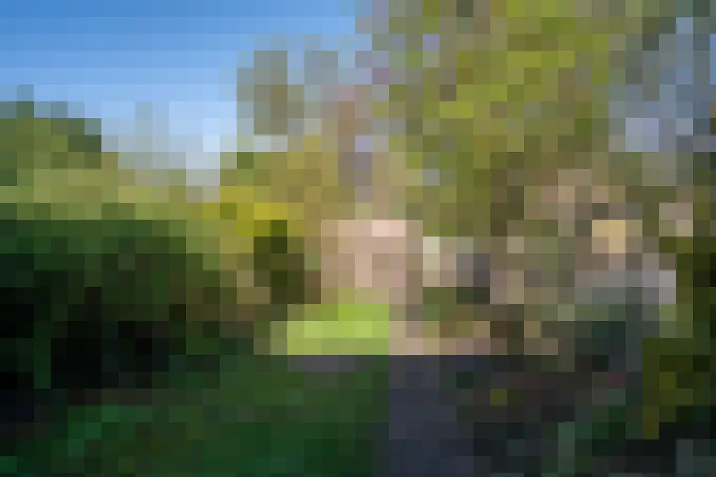 Boskriek 77 Uden thumbnail 26
