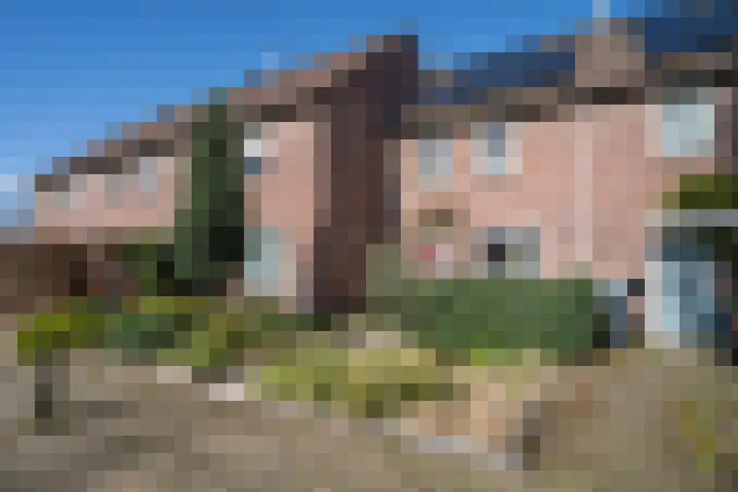 Boskriek 77 Uden thumbnail 4