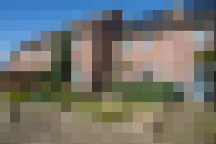Boskriek 77 Uden thumbnail 4