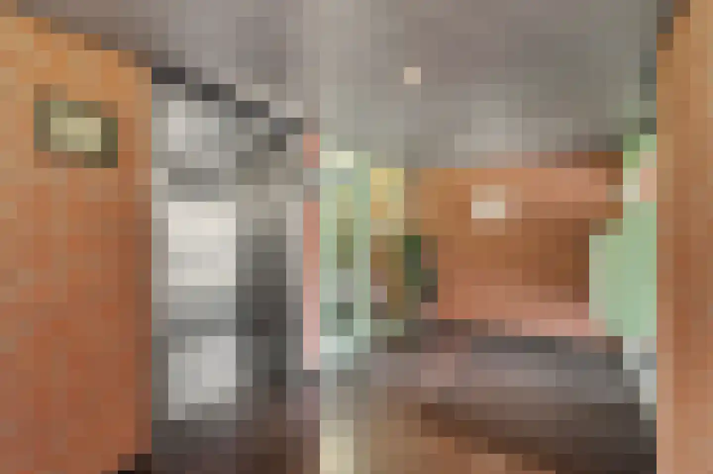 Boskwartier 104 Strijen thumbnail 13