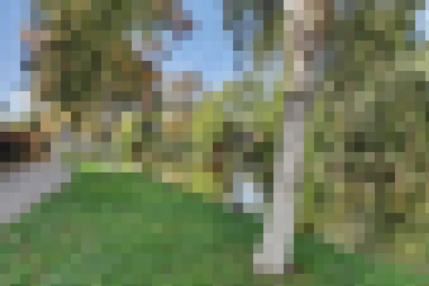 Boskwartier 104 Strijen thumbnail 5