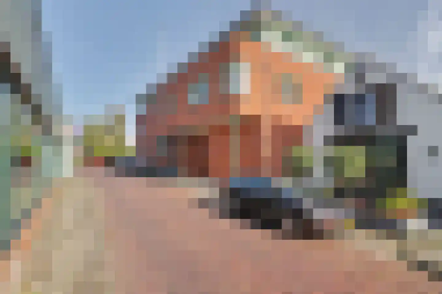 Boskwartier 104 Strijen thumbnail 8