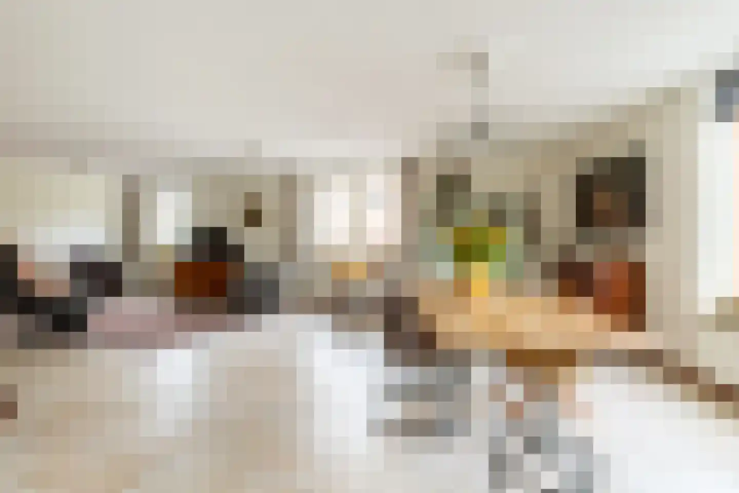 Boskwartier 4 Strijen thumbnail 15
