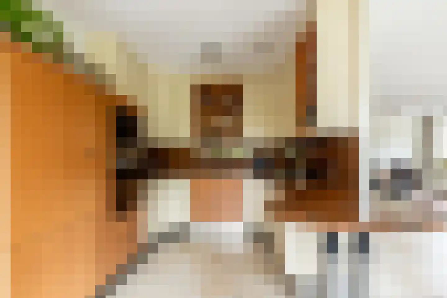 Boskwartier 4 Strijen thumbnail 17