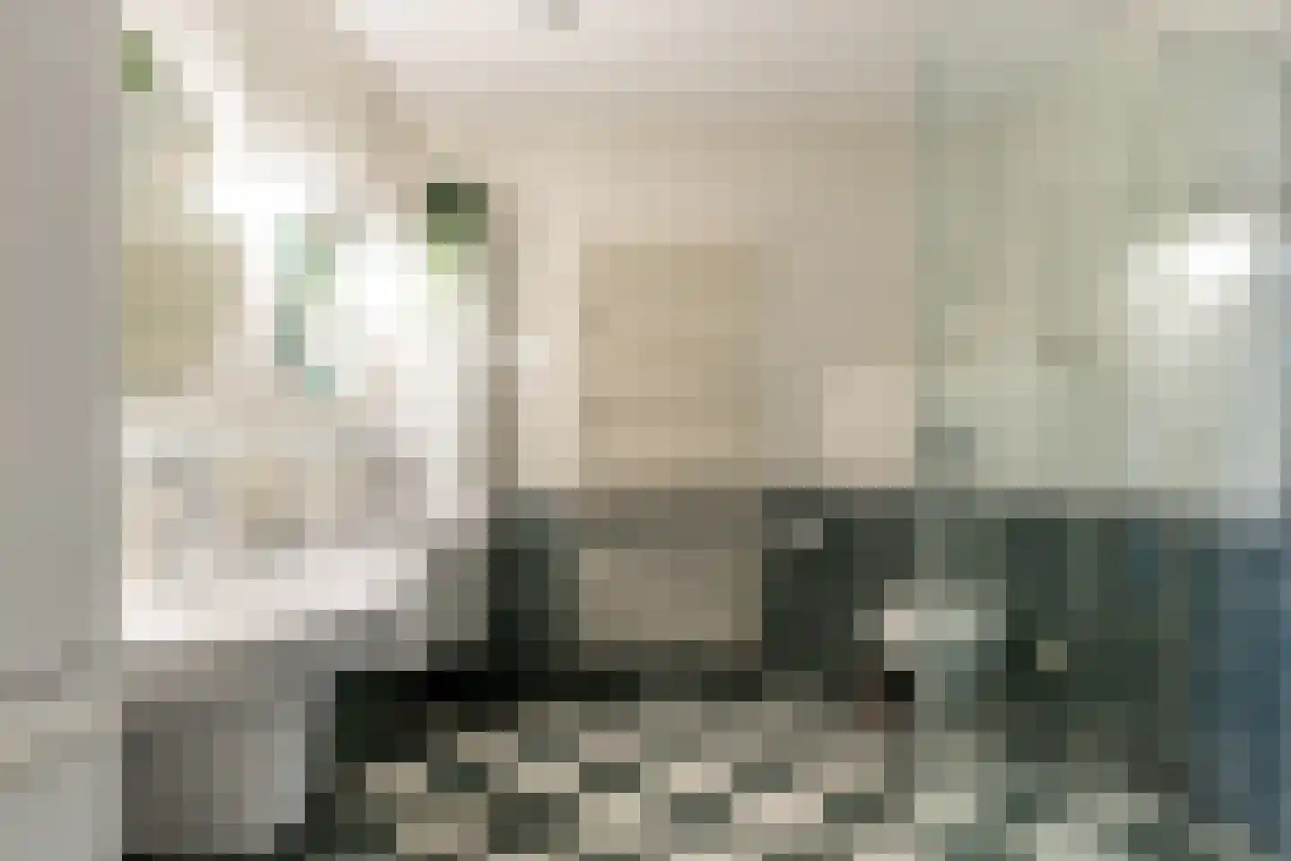 Boskwartier 4 Strijen thumbnail 23