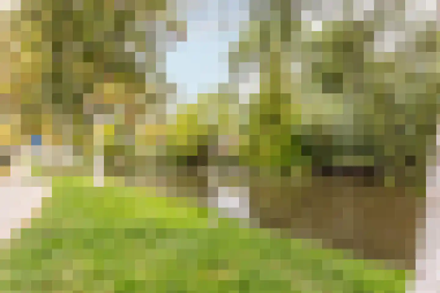 Boskwartier 4 Strijen thumbnail 6