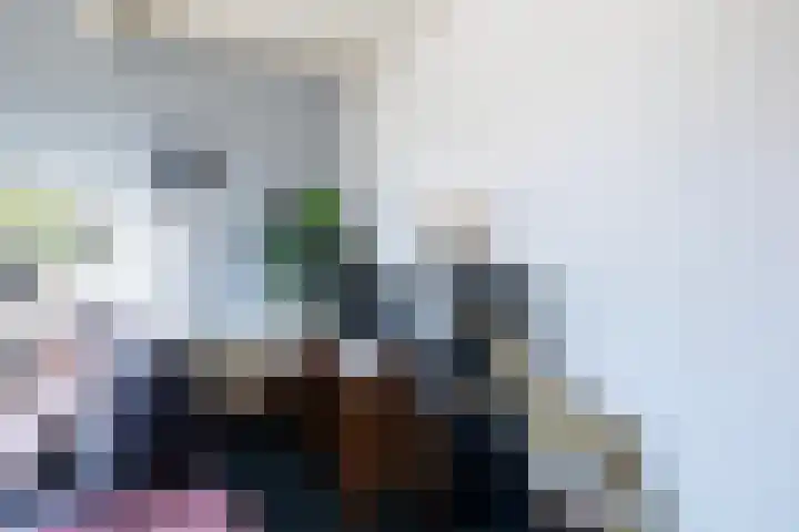 Boskwei 55 Sweagerbosk thumbnail 16