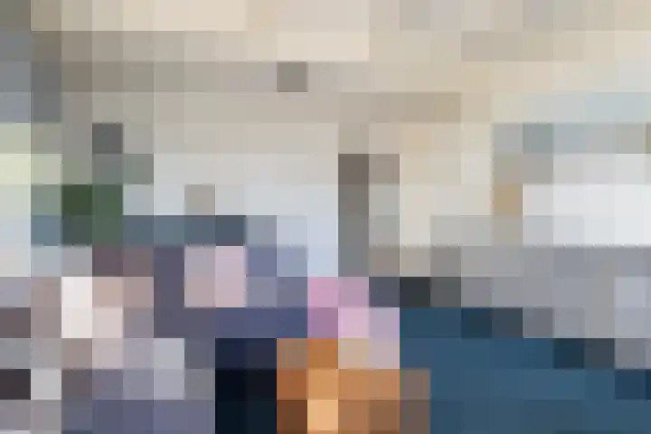 Boskwei 55 Sweagerbosk thumbnail 17