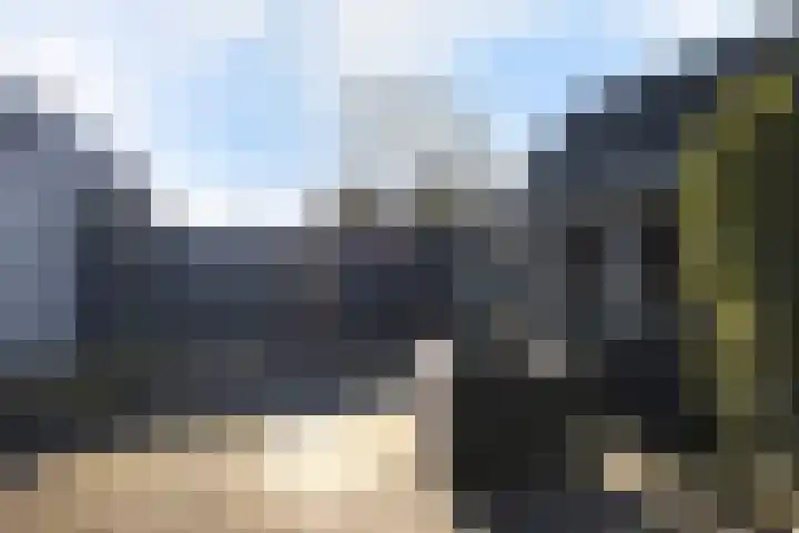 Boskwei 55 Sweagerbosk thumbnail 33
