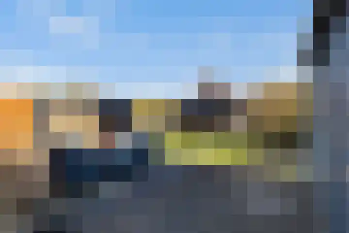 Boskwei 55 Sweagerbosk thumbnail 34