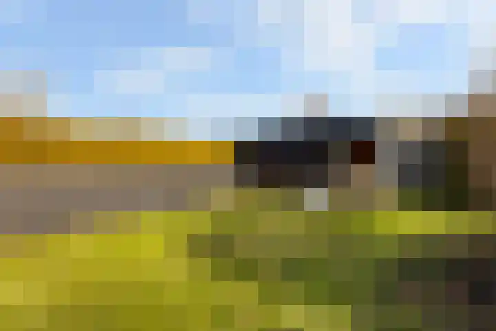 Boskwei 55 Sweagerbosk thumbnail 35