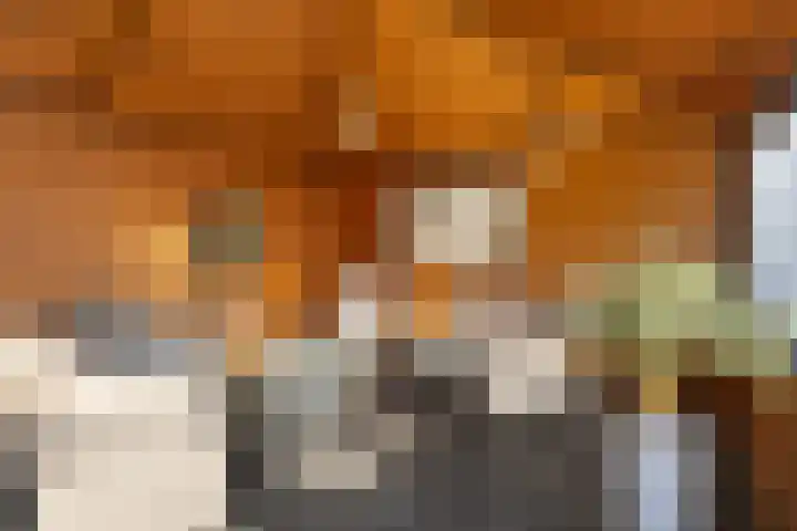 Boskwei 55 Sweagerbosk thumbnail 37