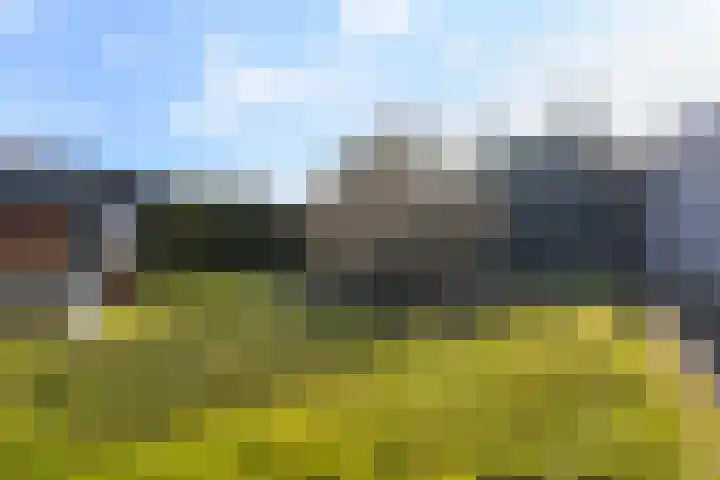 Boskwei 55 Sweagerbosk thumbnail 38