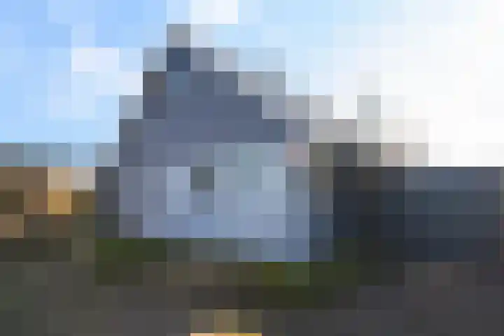 Boskwei 55 Sweagerbosk thumbnail 41