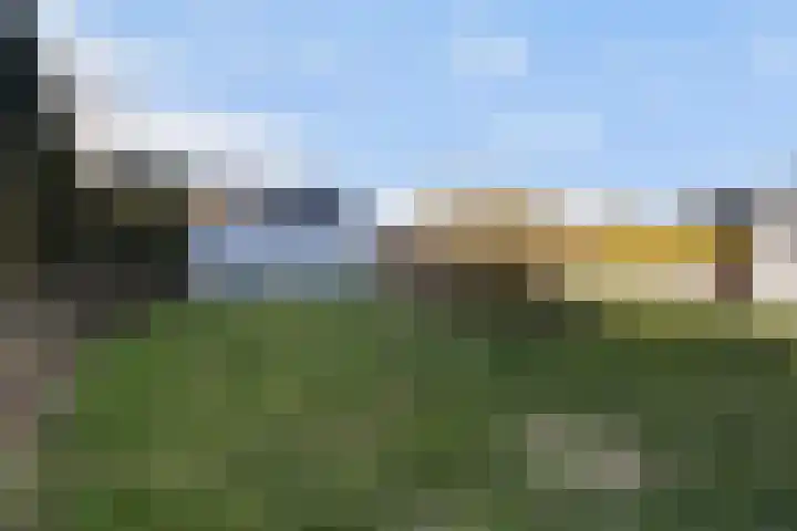 Boskwei 55 Sweagerbosk thumbnail 43