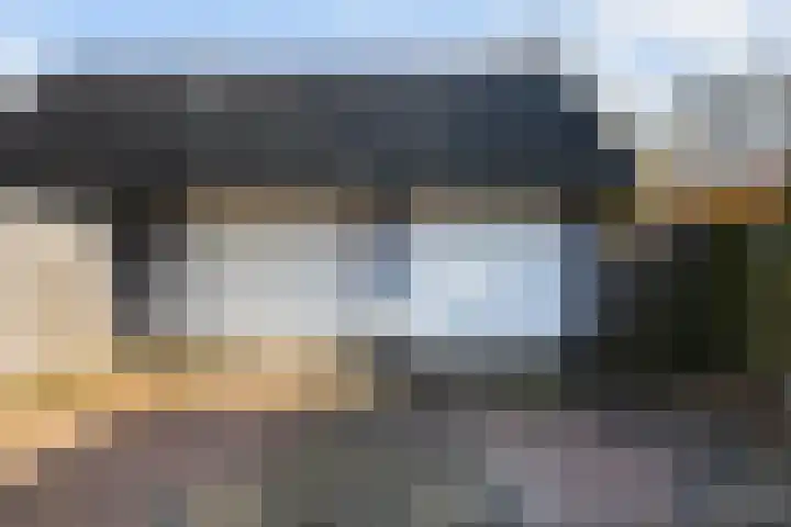Boskwei 55 Sweagerbosk thumbnail 47